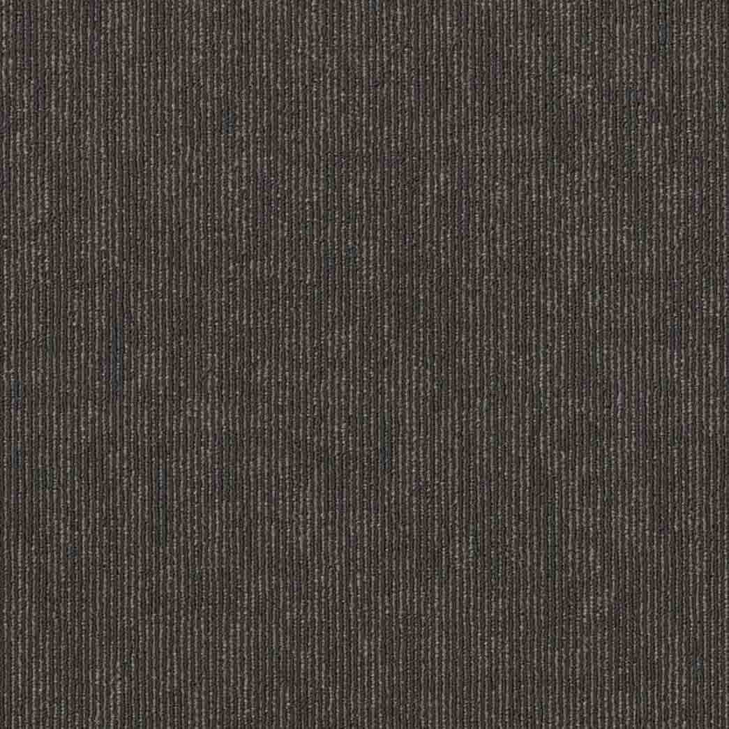 Shaw Philadelphia Commercial Carpet Tile Semblance 54949 Connection 00510