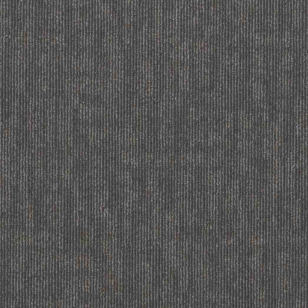 Shaw Philadelphia Commercial Carpet Tile Semblance 54949 Relation 00500