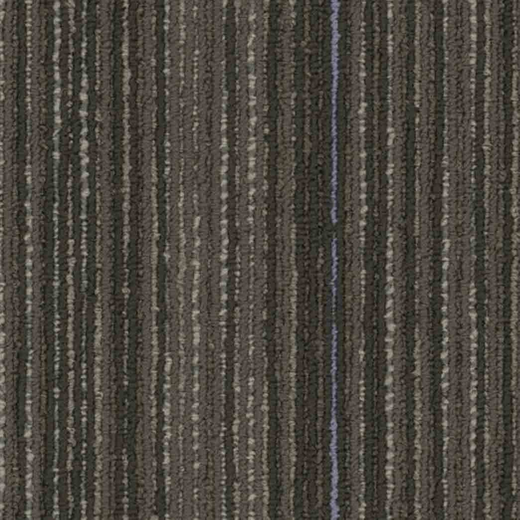 Shaw Philadelphia Commercial Carpet Tile Stellar 54902 Cutting Edge 00705