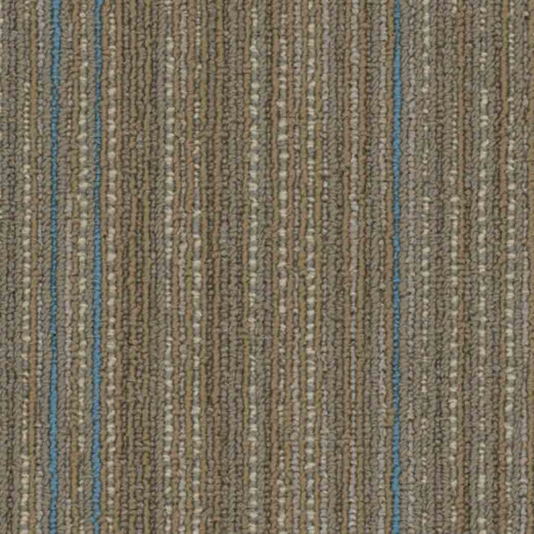 Shaw Philadelphia Commercial Carpet Tile Stellar 54902 Imaginary 00200