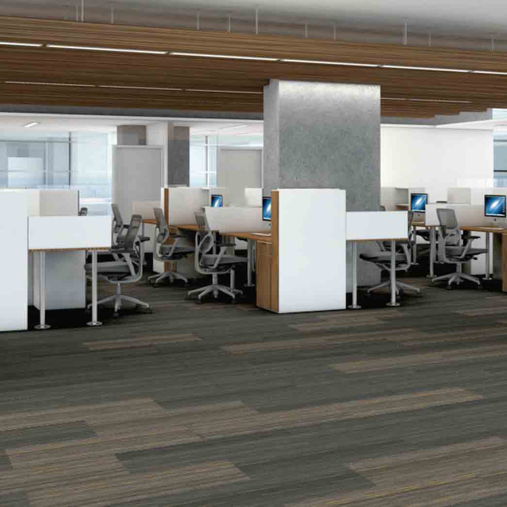Shaw Philadelphia Commercial Carpet Tile Stellar 54902 Mythical 00503 room