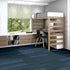 Shaw Philadelphia Commercial Carpet Tile Stellar 54902 New Age 00400 room