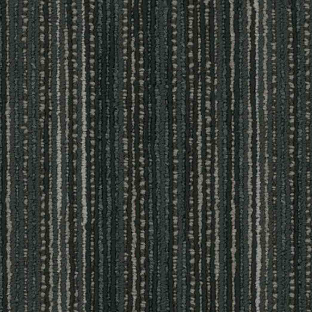 Shaw Philadelphia Commercial Carpet Tile Stellar 54902 Shadowy 00505