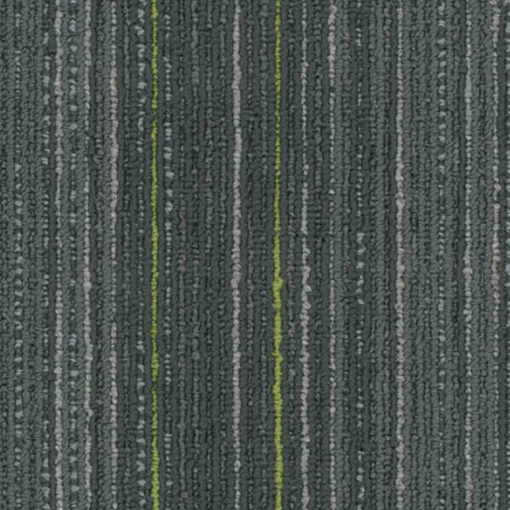 Shaw Philadelphia Commercial Carpet Tile Stellar 54902 Whimsical 00504