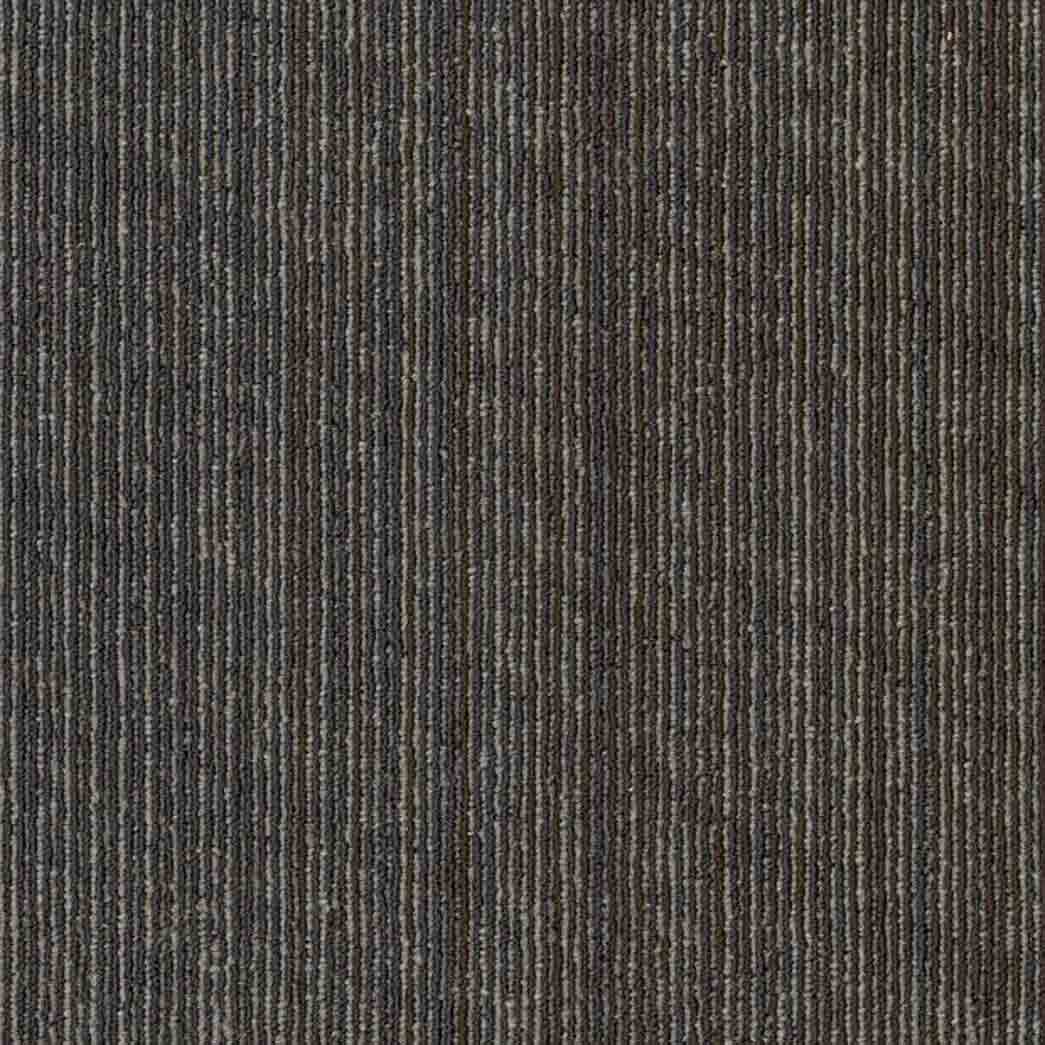 Shaw Philadelphia Commercial Carpet Tile Vantage 54952 Emerge 00508