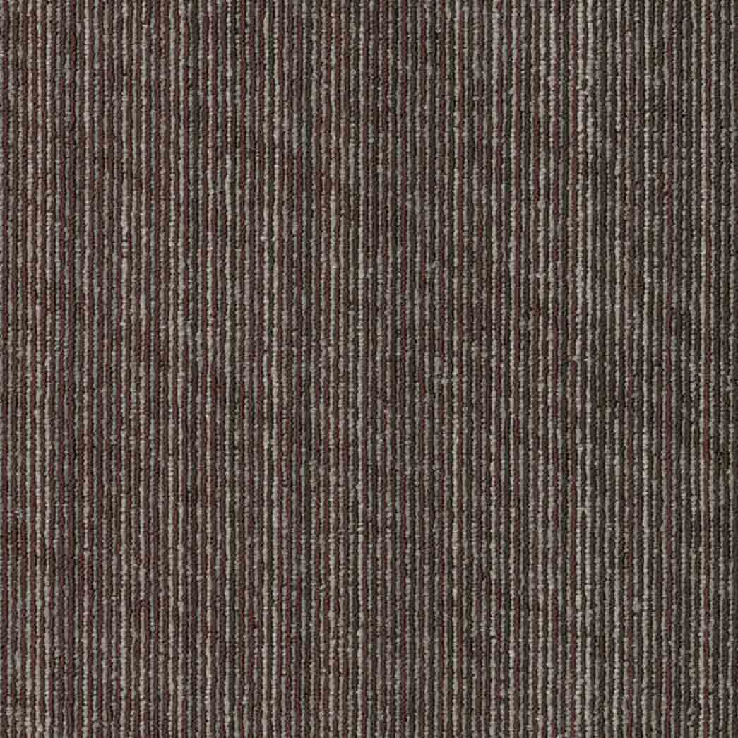 Shaw Philadelphia Commercial Carpet Tile Vantage 54952 Evolve 00706