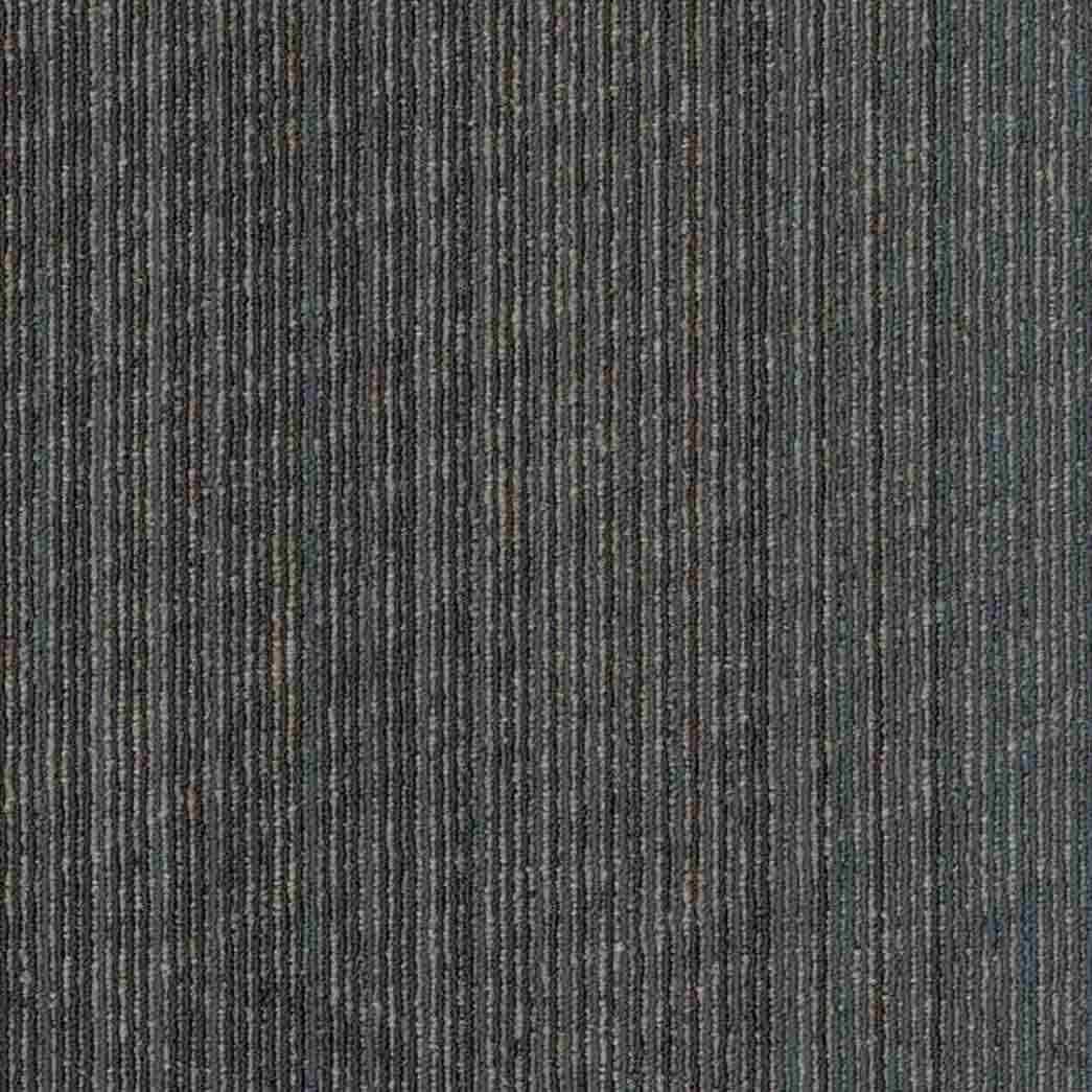 Shaw Philadelphia Commercial Carpet Tile Vantage 54952 Focus 00502