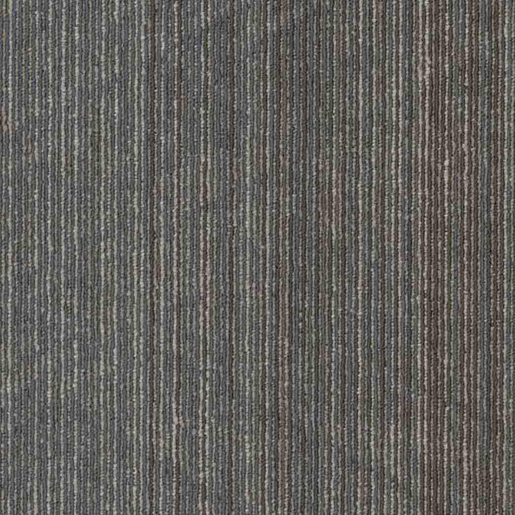 Shaw Philadelphia Commercial Carpet Tile Vantage 54952 Perception 00500