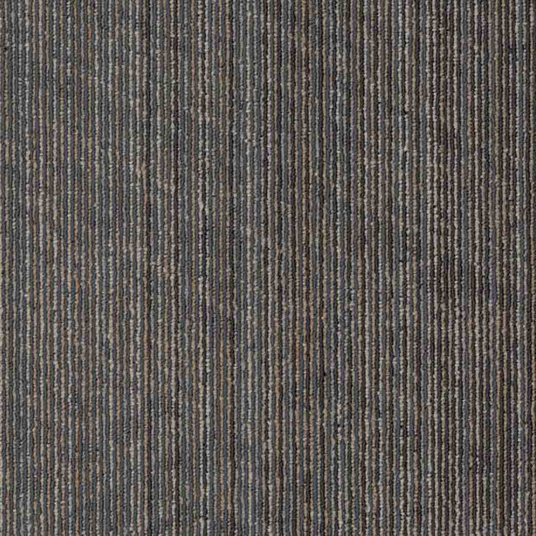 Shaw Philadelphia Commercial Carpet Tile Vantage 54952 Reveal 00206