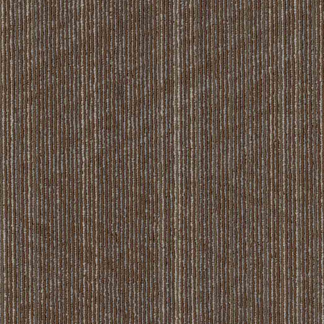 Shaw Philadelphia Commercial Carpet Tile Vantage 54952 Surface 00700