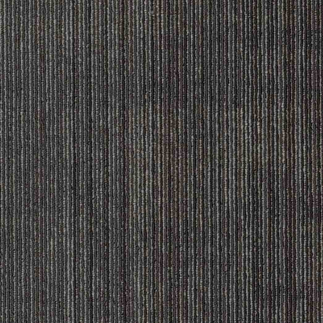 Shaw Philadelphia Commercial Carpet Tile Visibility 54953 Appear 00512