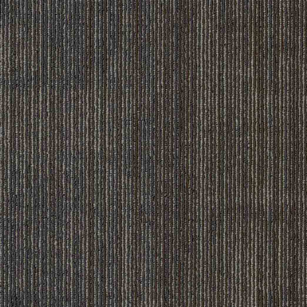 Shaw Philadelphia Commercial Carpet Tile Visibility 54953 Emerge 00508