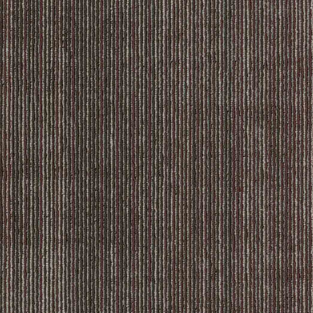 Shaw Philadelphia Commercial Carpet Tile Visibility 54953 Evolve 00706