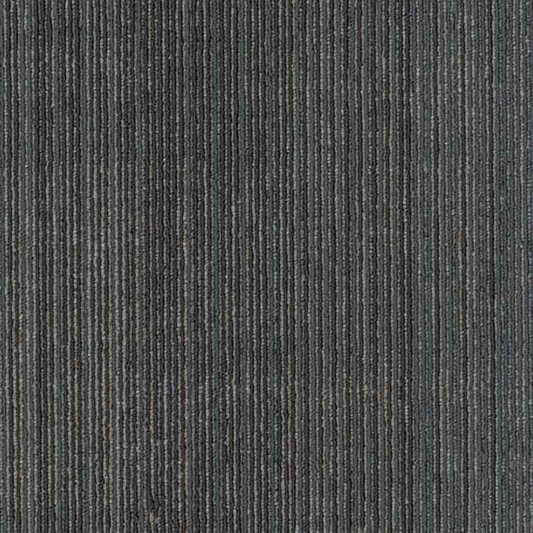 Shaw Philadelphia Commercial Carpet Tile Visibility 54953 Focus 00502