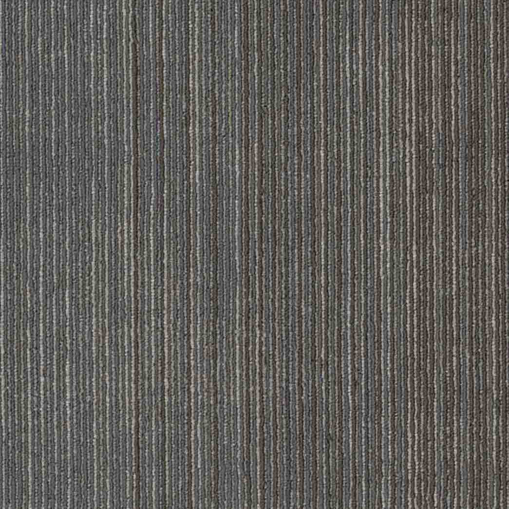 Shaw Philadelphia Commercial Carpet Tile Visibility 54953 Perception 00500