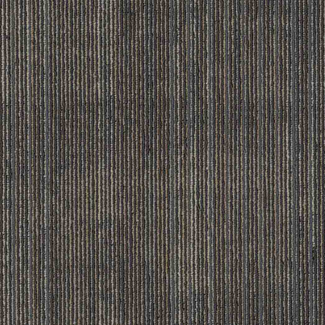 Shaw Philadelphia Commercial Carpet Tile Visibility 54953 Reveal 00206