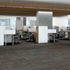 Shaw Philadelphia Commercial Carpet Tile Visibility 54953 Reveal 00206 room