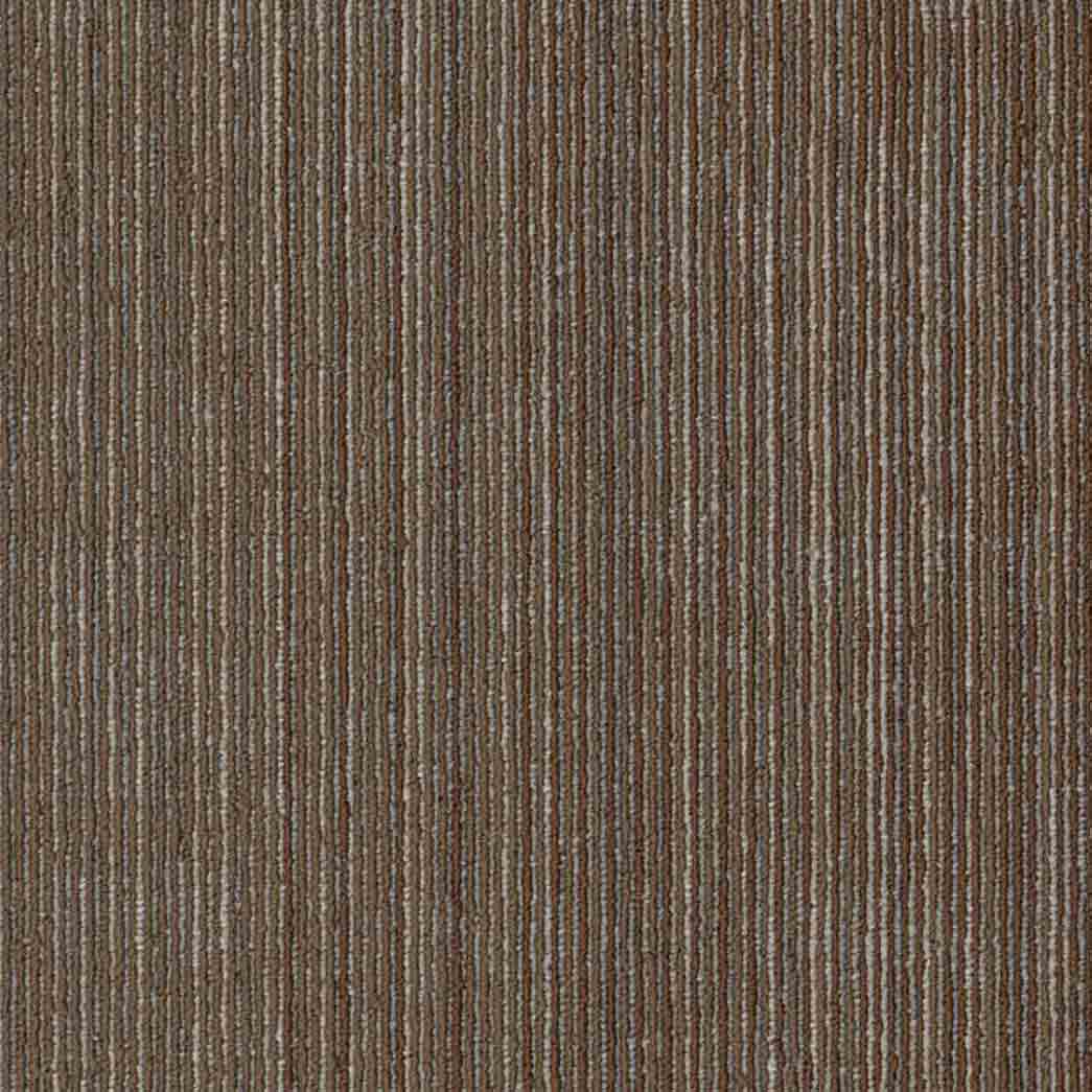 Shaw Philadelphia Commercial Carpet Tile Visibility 54953 Surface 00700