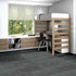 Shaw Philadelphia Commercial Carpet Tile Visibility 54953 Vanish 00404 room