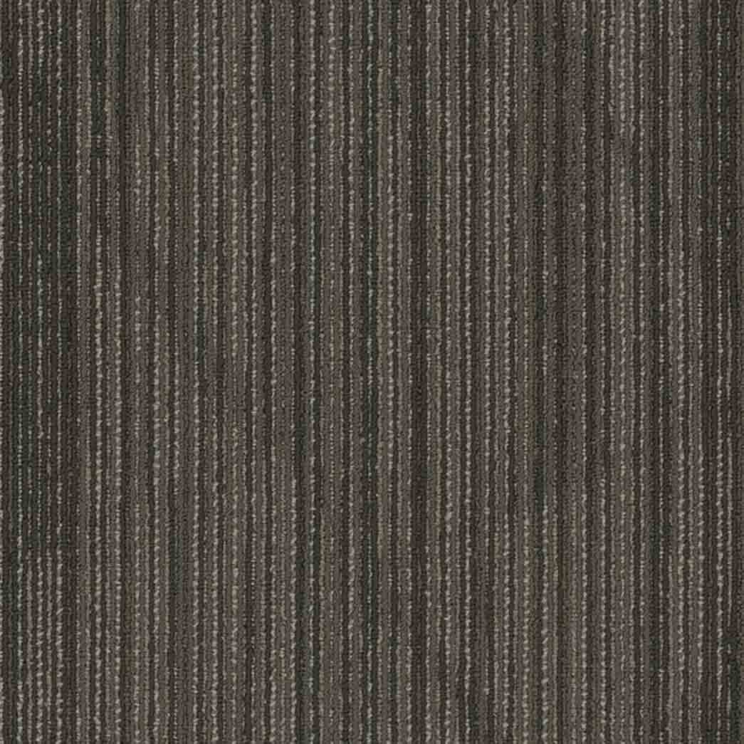 Shaw Philadelphia Commercial Carpet Tile Visionary 54903 Cutting Edge 00705