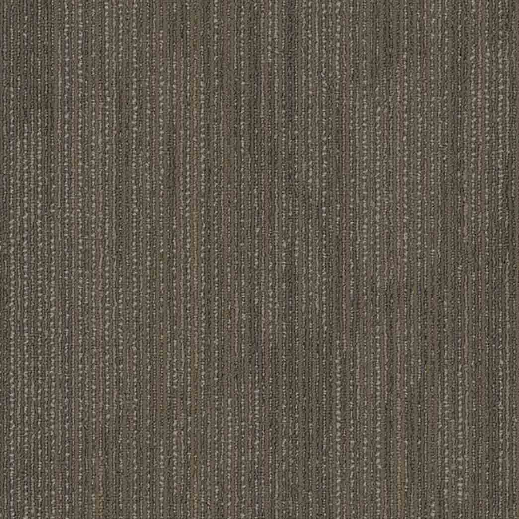 Shaw Philadelphia Commercial Carpet Tile Visionary 54903 Formative 00700