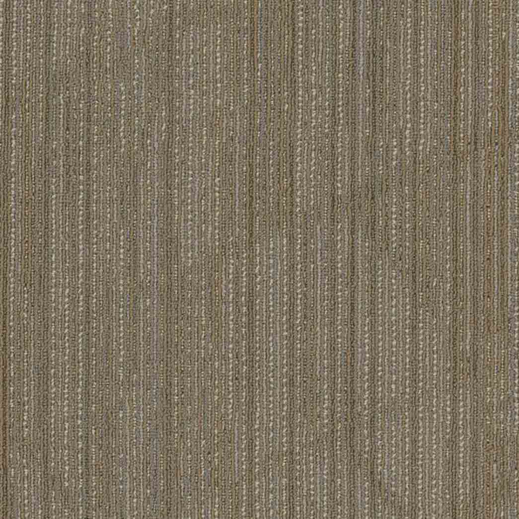 Shaw Philadelphia Commercial Carpet Tile Visionary 54903 Imaginary 00200