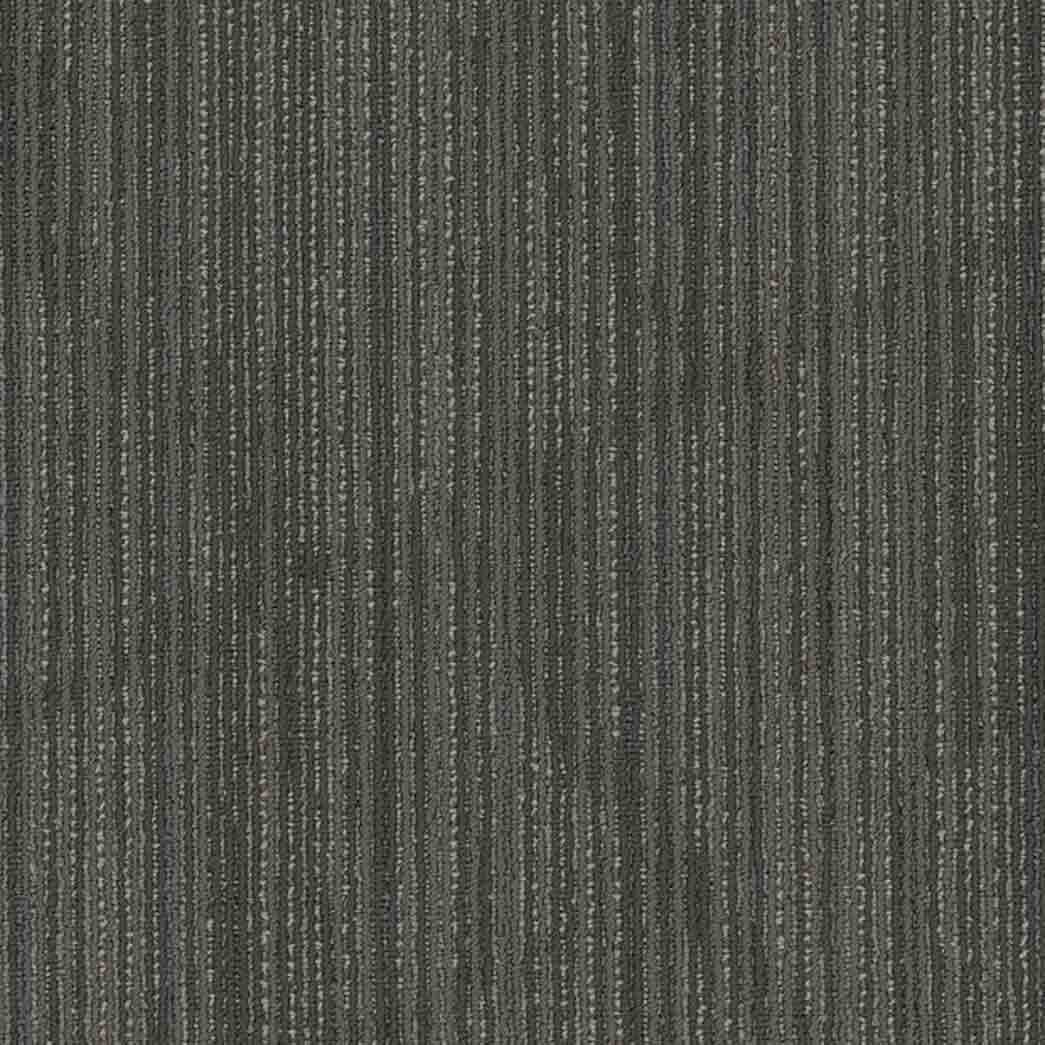 Shaw Philadelphia Commercial Carpet Tile Visionary 54903 Mythical 00503