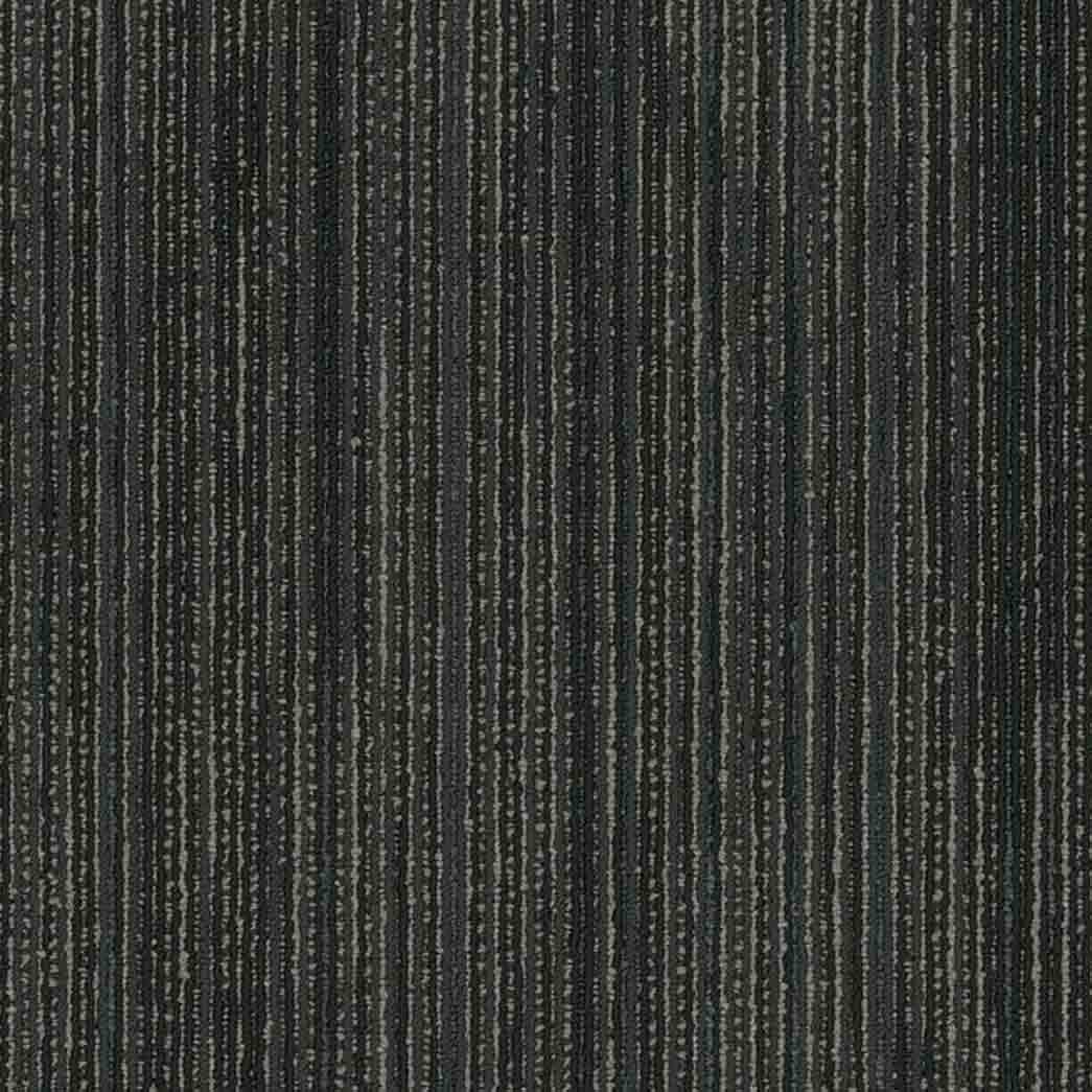 Shaw Philadelphia Commercial Carpet Tile Visionary 54903 Shadowy 00505