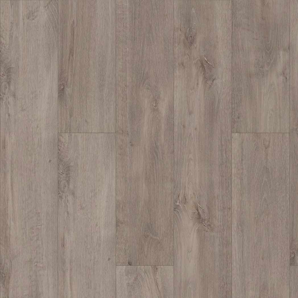 Shaw SPC LVP Allegiance Plus Acc Bevel 2019V Ambassador 05057