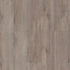 Shaw SPC LVP Allegiance Plus Acc Bevel 2019V Ambassador 05057