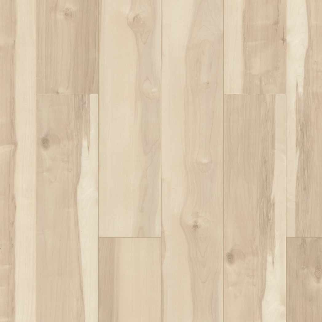 Shaw SPC LVP Allegiance Plus Acc Bevel 2019V Atlas Maple 01039