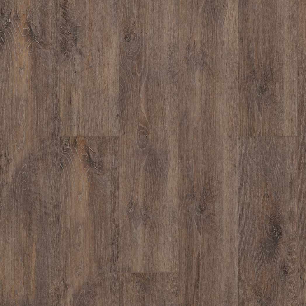 Shaw SPC LVP Allegiance Plus Acc Bevel 2019V Chapman 07067