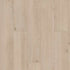 Shaw SPC LVP Allegiance Plus Acc Bevel 2019V Galleria Pine 01035