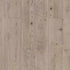 Shaw SPC LVP Allegiance Plus Acc Bevel 2019V Prestique Pine 01036