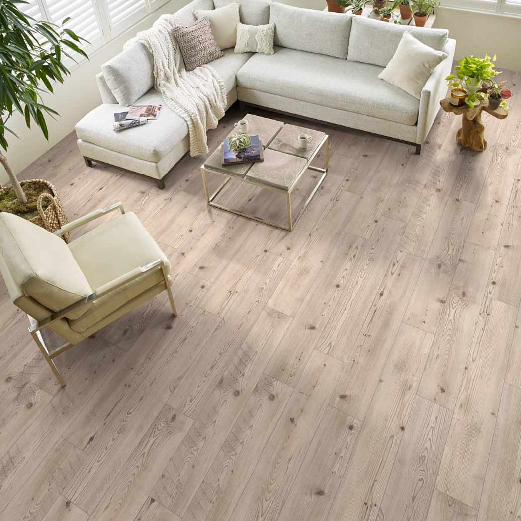 Shaw SPC LVP Allegiance Plus Acc Bevel 2019V Prestique Pine 01036 room