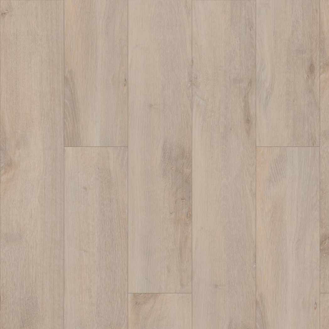 Shaw SPC LVP Allegiance Plus Acc Bevel 2019V Riverside 01031