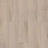 Shaw SPC LVP Allegiance Plus Acc Bevel 2019V Riverside 01031