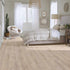 Shaw SPC LVP Allegiance Plus Acc Bevel 2019V Riverside 01031 room