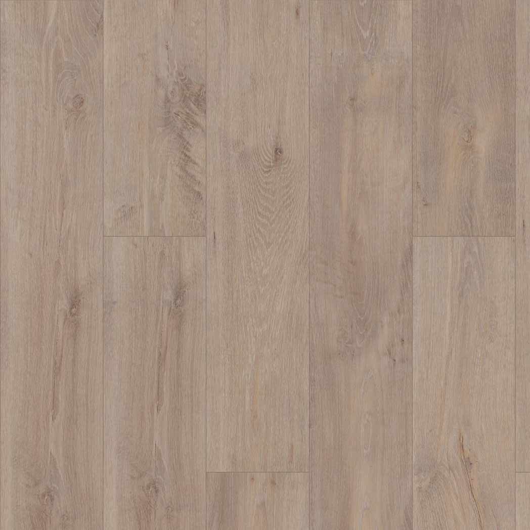 Shaw SPC LVP Allegiance Plus Acc Bevel 2019V Ryman 07068