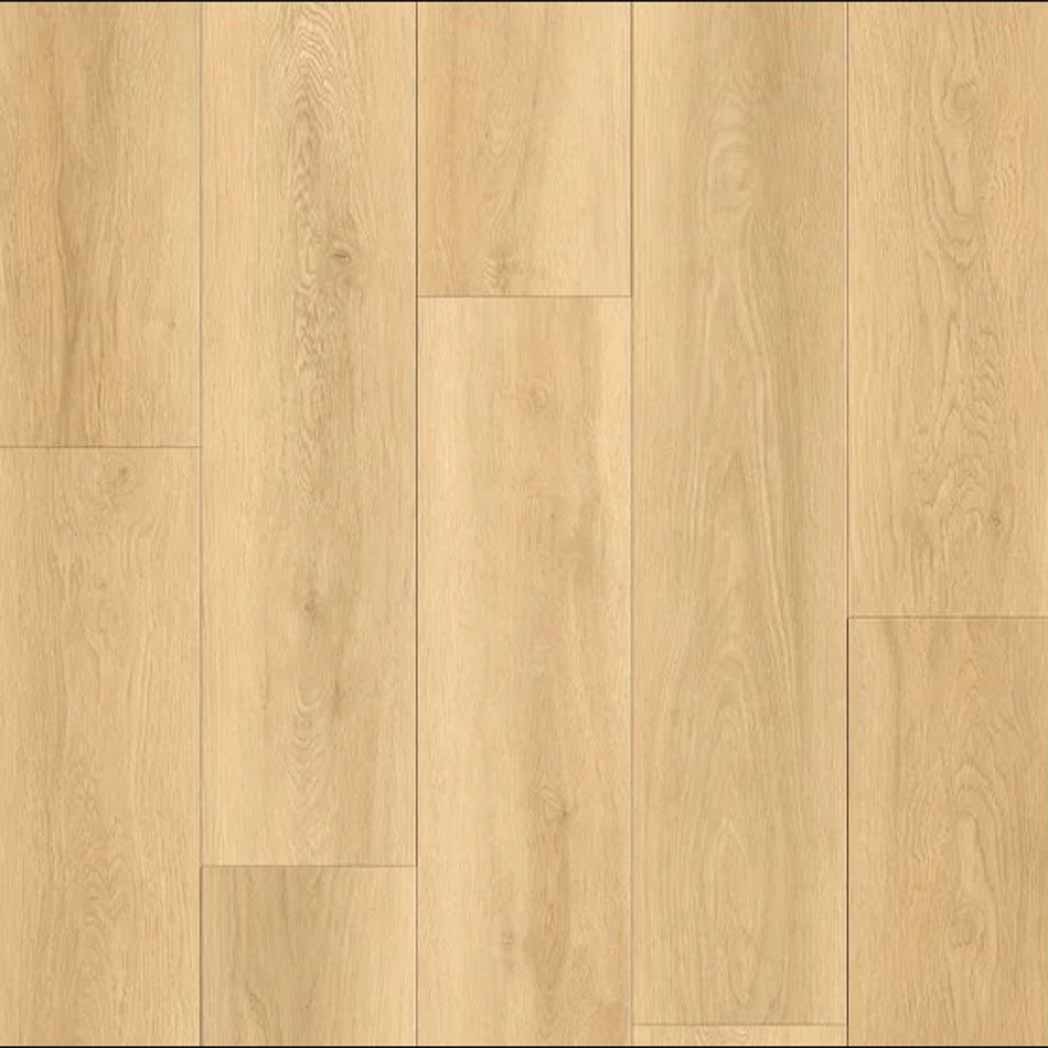 Stanton Carpet WPC LVP Alpine Desert 49731