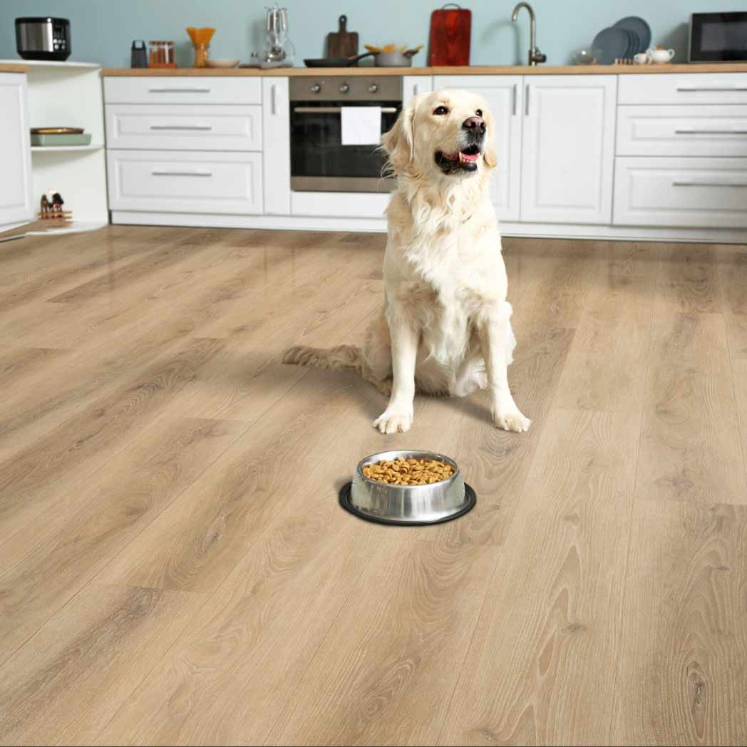 Stanton Carpet WPC LVP Hartford Clay 68503 room