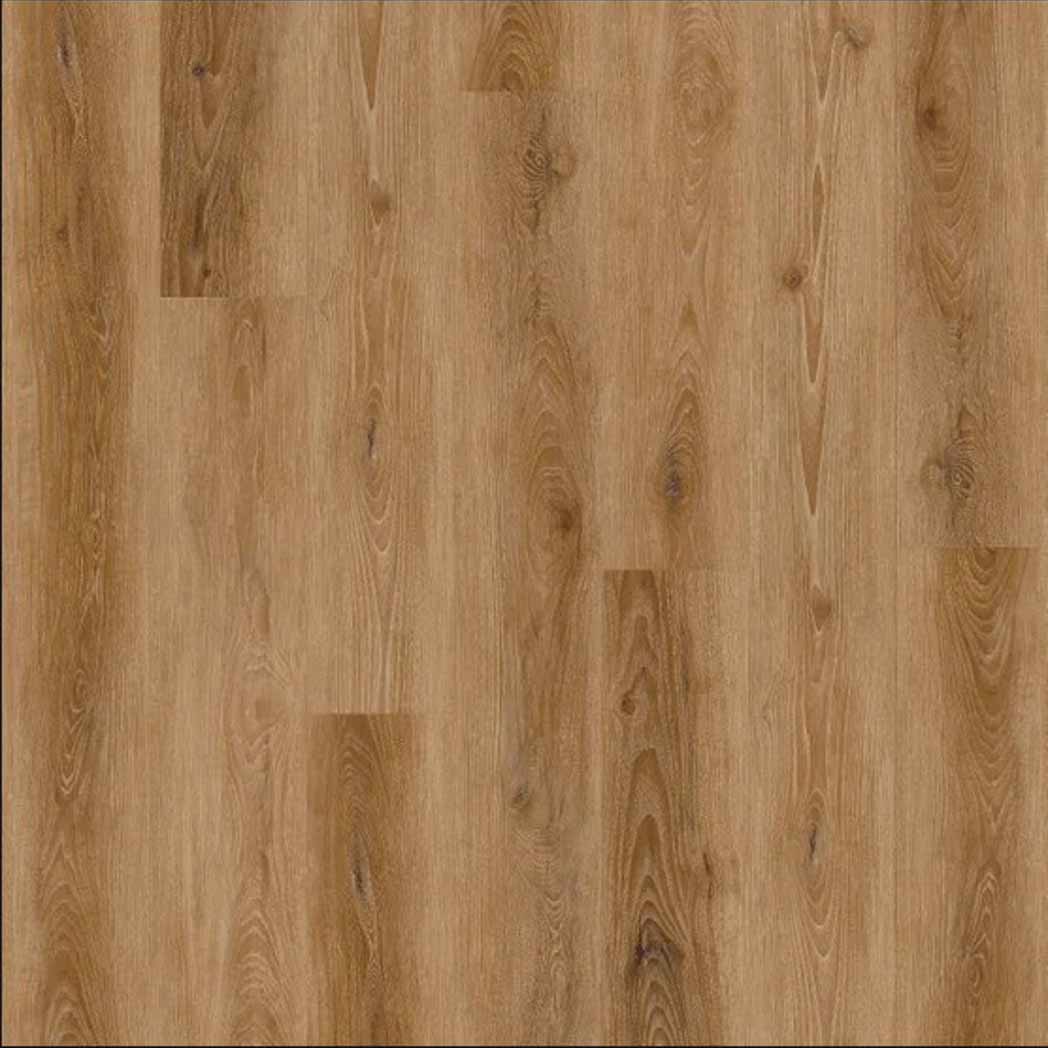 Stanton Carpet WPC LVP Hartford Warm Saddle 68510