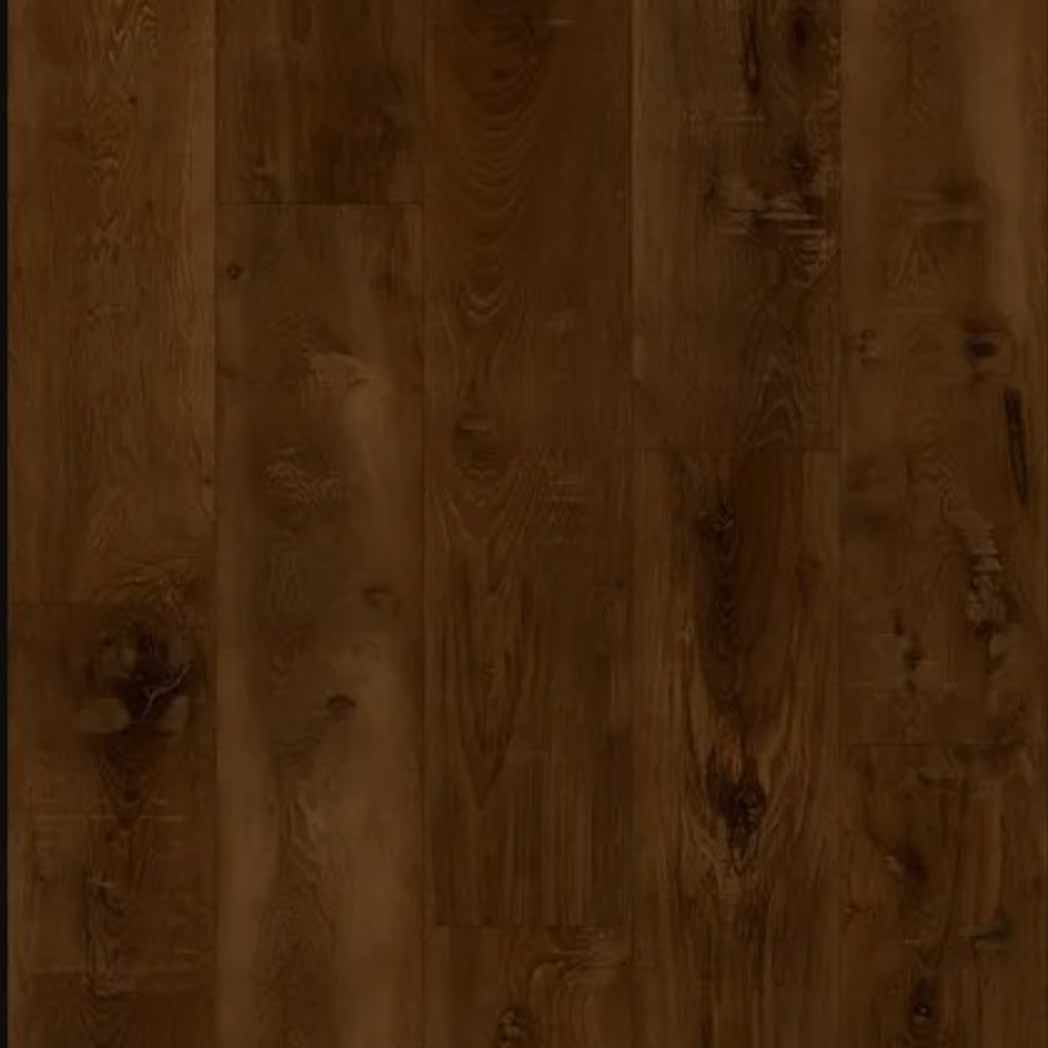 Stanton Carpet WPC LVP Hawthorne Forest 66452