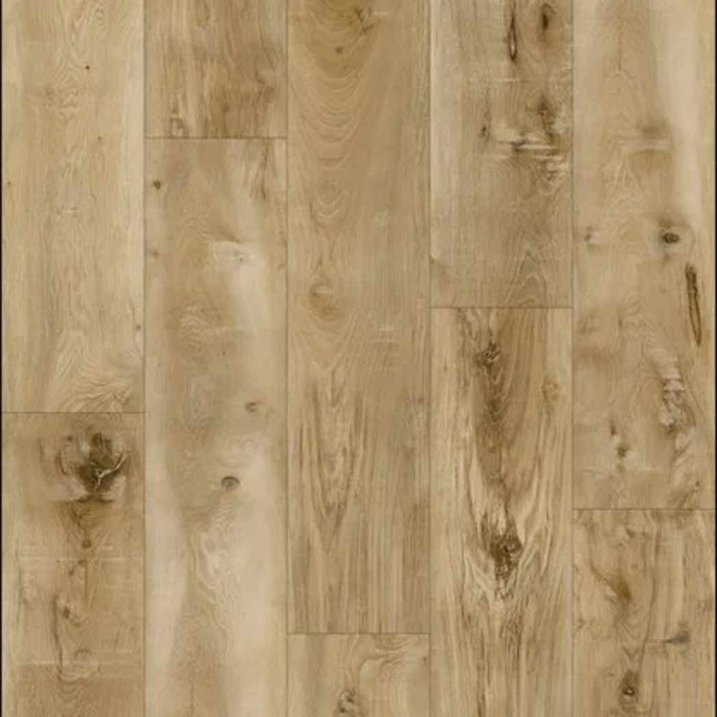 Stanton Carpet WPC LVP Hawthorne Grain 66451