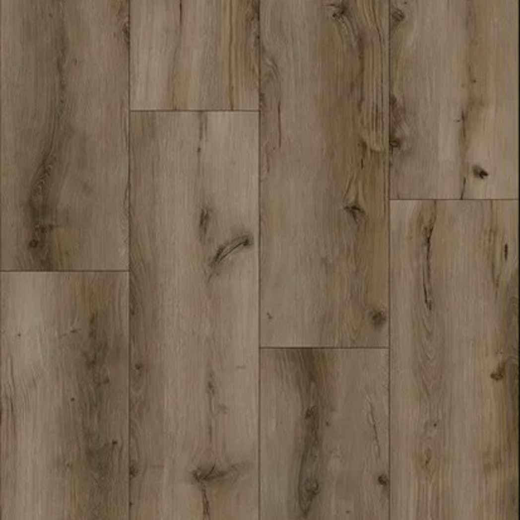 Stanton Carpet WPC LVP Mount Evans Ash Brown 15552
