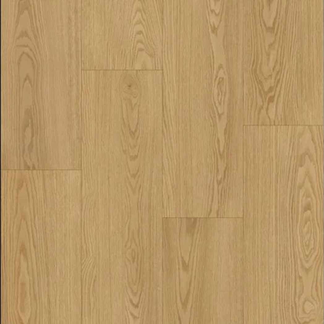 Stanton Carpet WPC LVP Oakridge Oat 71451