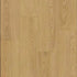 Stanton Carpet WPC LVP Oakridge Oat 71451