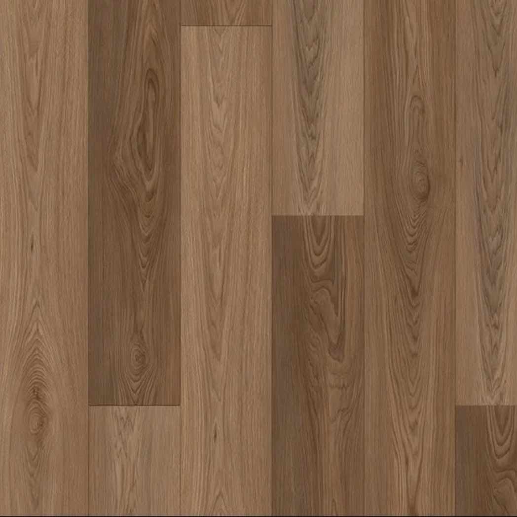 Stanton Carpet WPC LVP Old World Almond Bark 60114