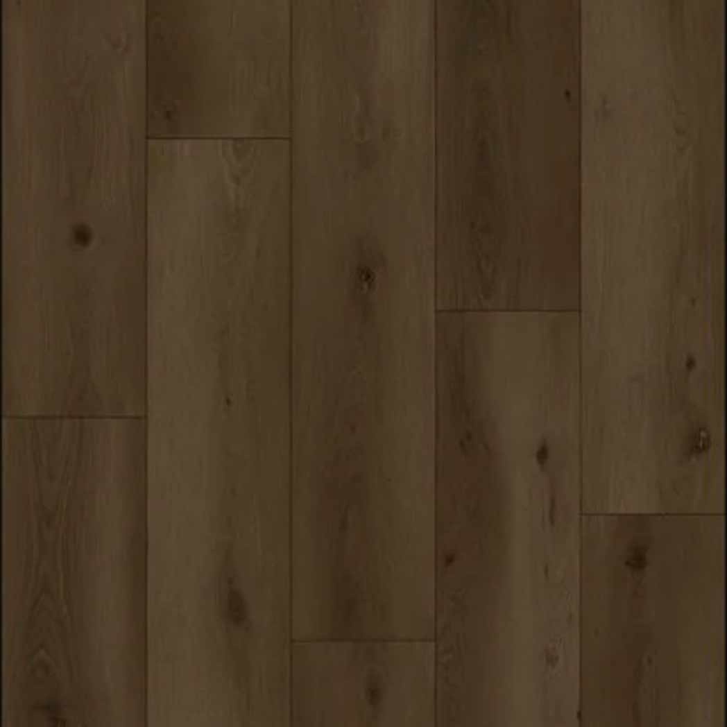 Stanton Carpet WPC LVP Park City Grizzly 11153