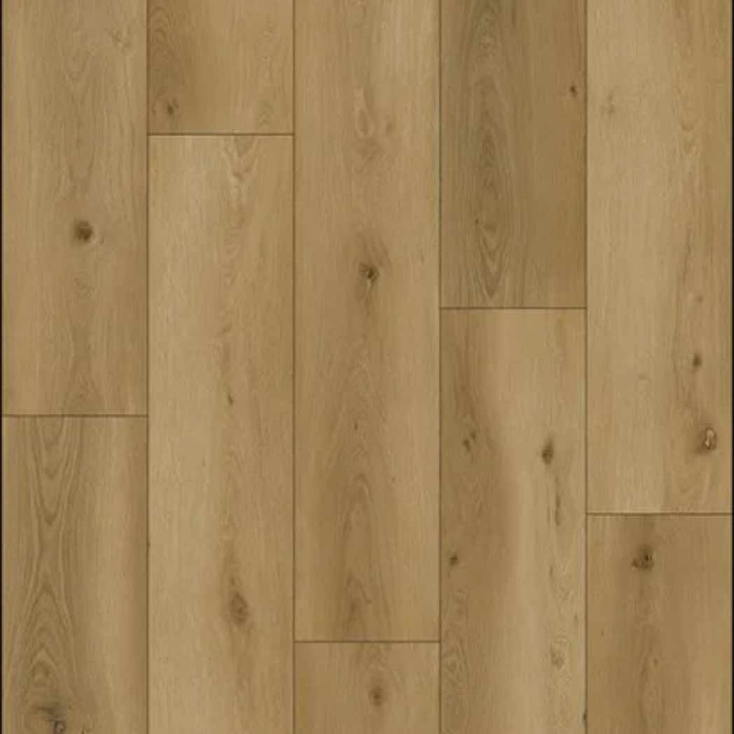 Stanton Carpet WPC LVP Park City Sahara 11151